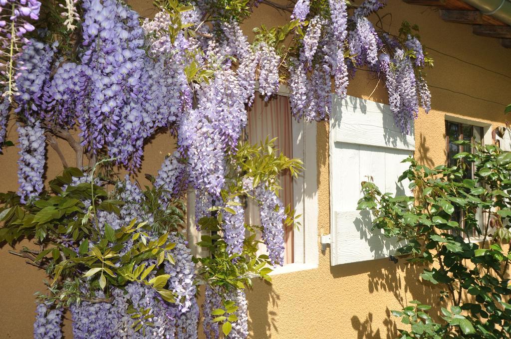 B&B La Cerisaie Francheleins Экстерьер фото