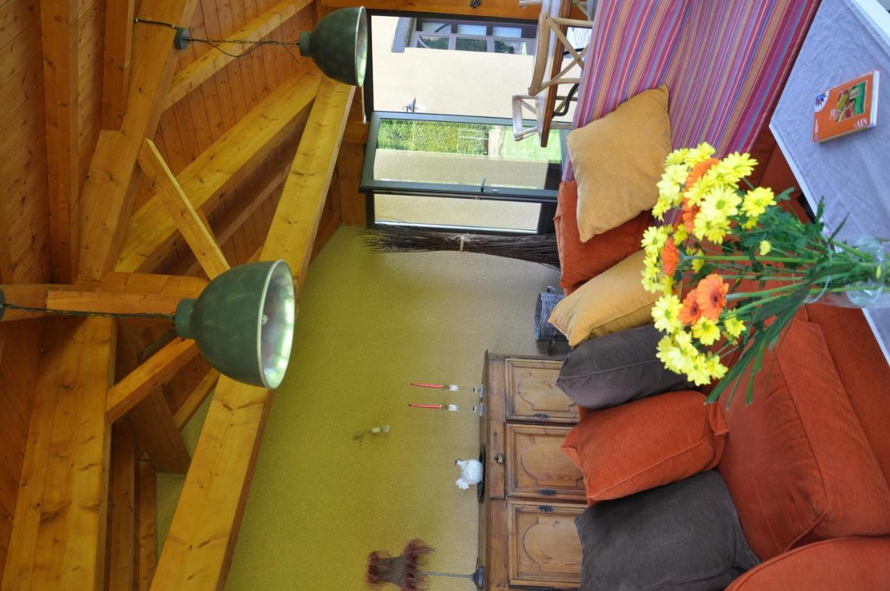 B&B La Cerisaie Francheleins Экстерьер фото